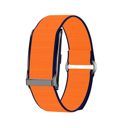 Pulse Up - La montre de santé biométrique